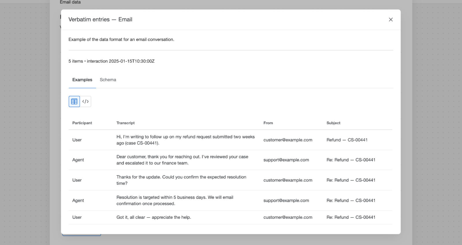 verbatim entries field Example tab is open showing a fake conversation