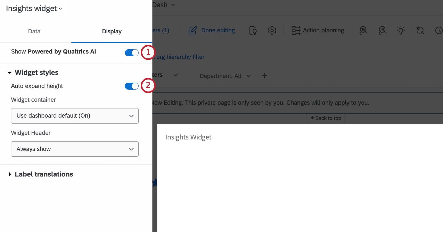 display options for the widget