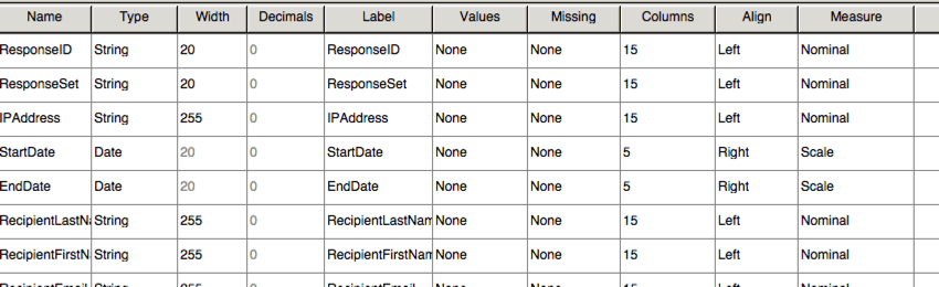 File SPSS impostato su vista variabile