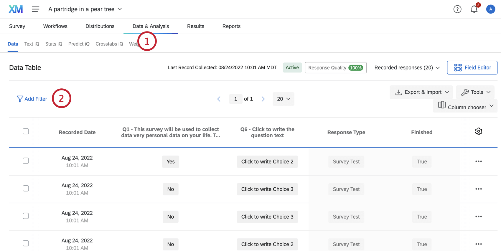 Add filter button on Data and Analysis tab
