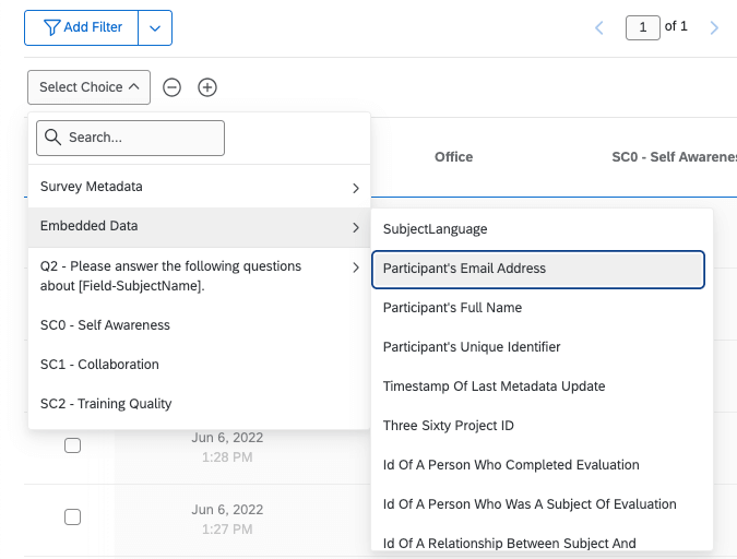 Options de filtre dans longlet Données