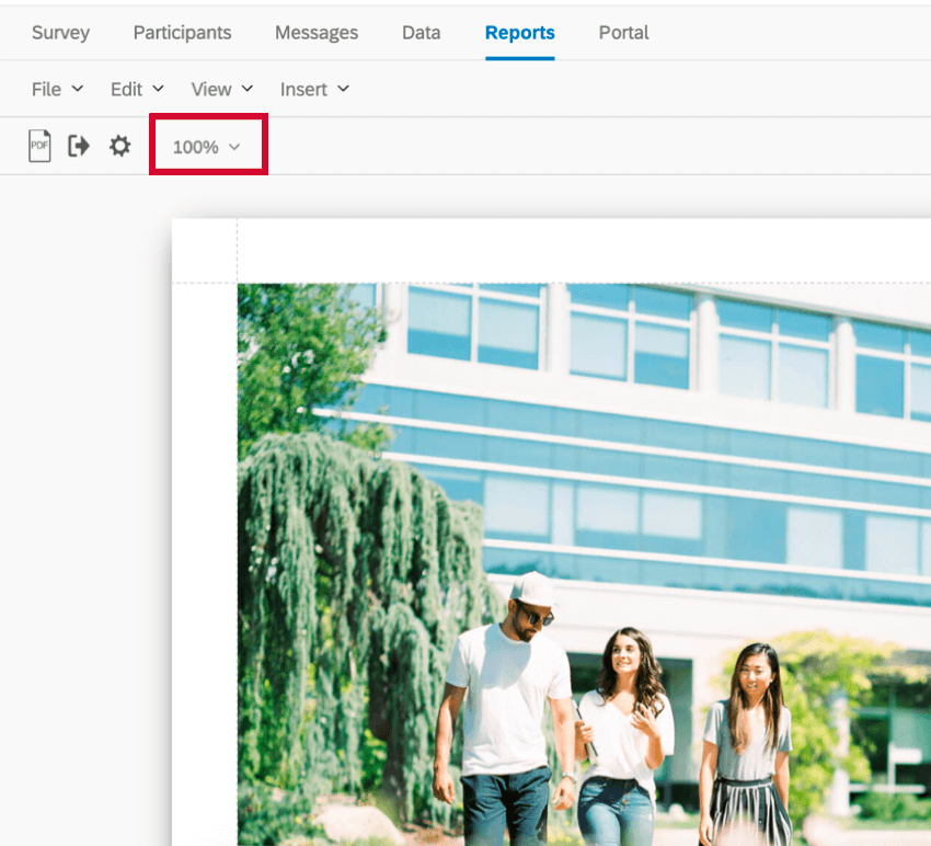 die Zoom-Option zum Ändern des Berichtszooms