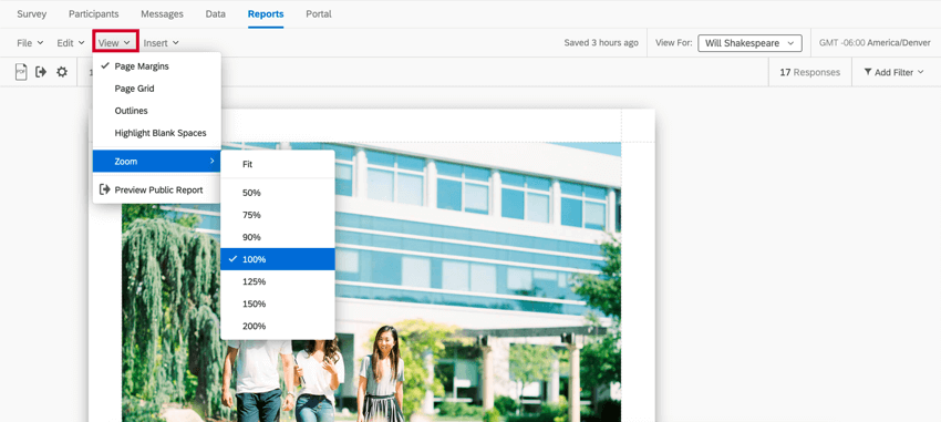 the view menu in the report toolbar