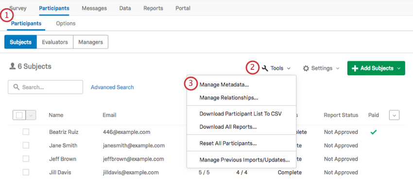 Lopzione Manager Metadata nel menu a discesa Strumenti