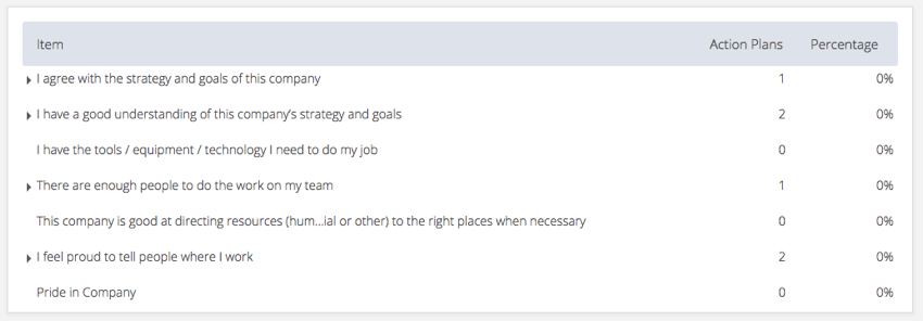 An example of an Action Plan Item Summary widget