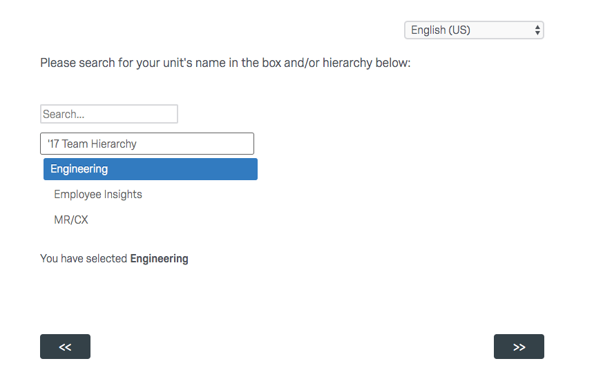 an org hierarchy question where a company level is selected