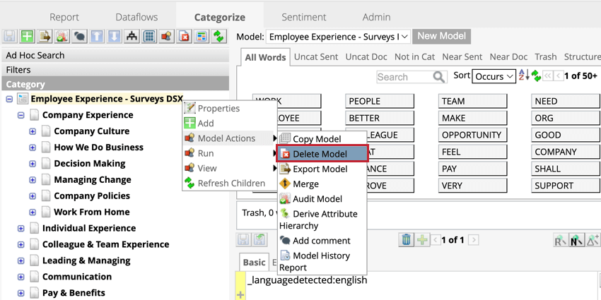 Delete a category model