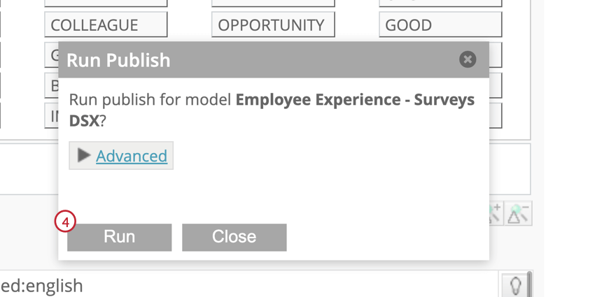 Run the publish model