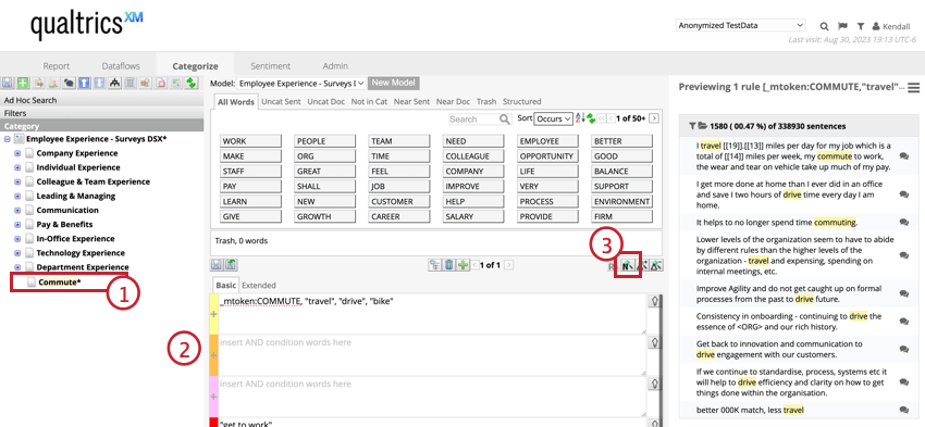 Select a category and highlights the preview all rules button