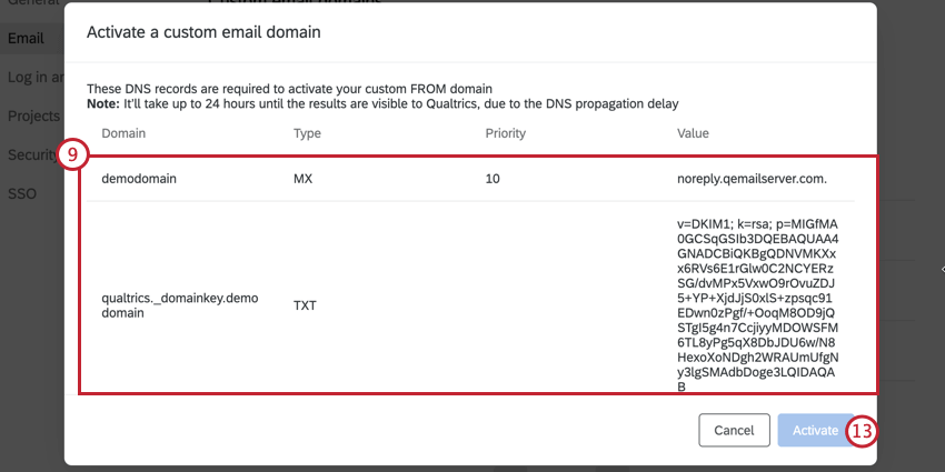 copiar la información del registro DNS