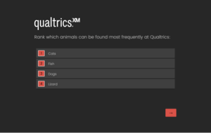 Dynamisches Designvorlage – Beispiel 2