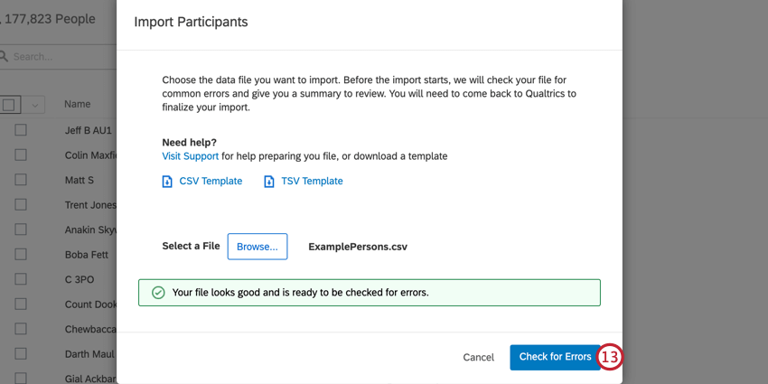 インポート画面が表示され、ファイルにエラーがないことを示す緑色のメッセージが表示されます。
