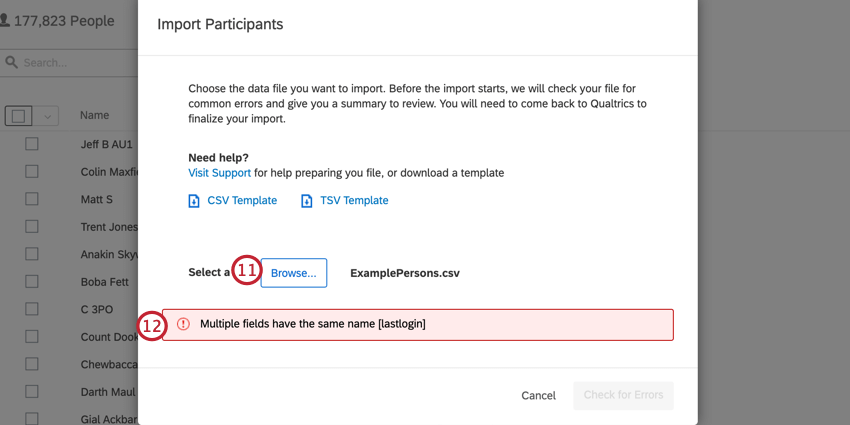 a tela de importação com um erro mostrando uma linha duplicar no arquivo