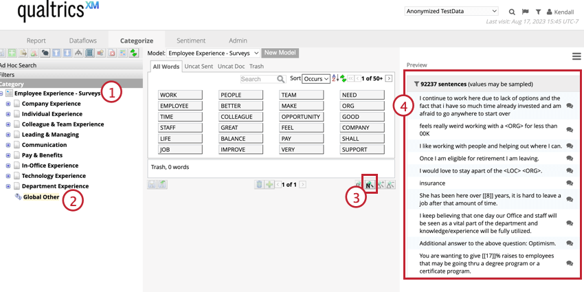 Highlights uncategorized data that is shown in the preview pane