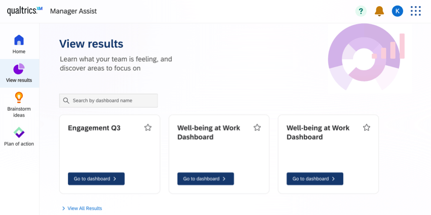 View manager assist results