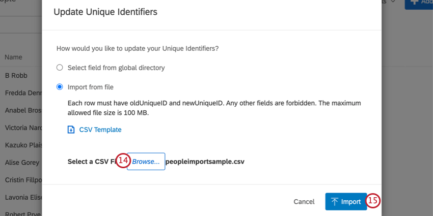 na tela de atualização de identificadores exclusivos, clique no botão do navegador para carregar um arquivo e depois em importar para importá-lo