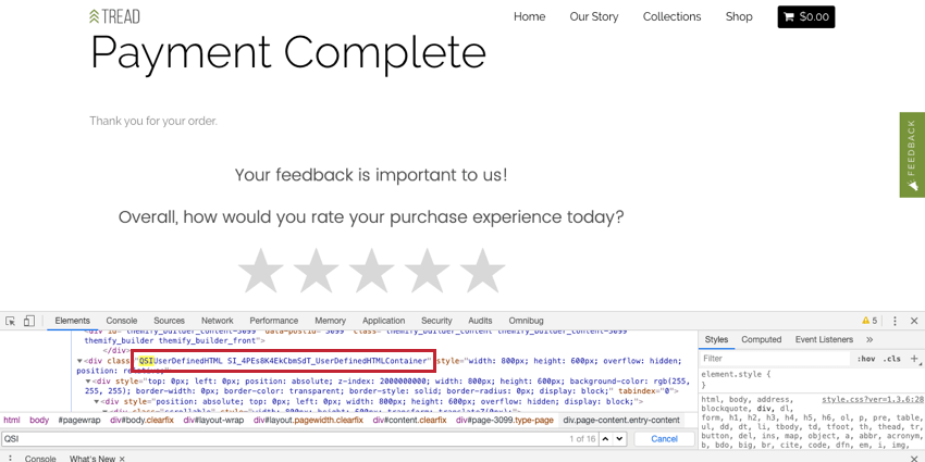 immagine di trovare il QSI durante lispezione della pagina
