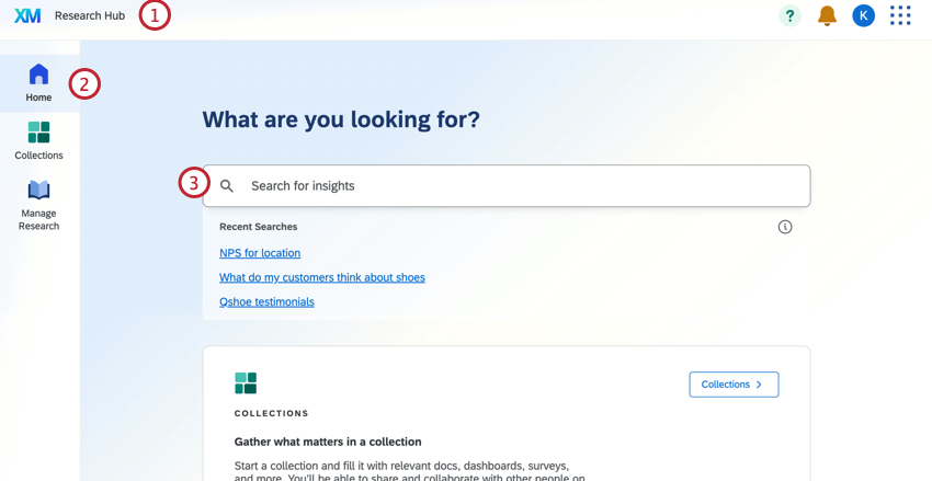 Research Hub wird die Suchregisterkarte mit einer Abfrage in der Suchleiste hervorgehoben.