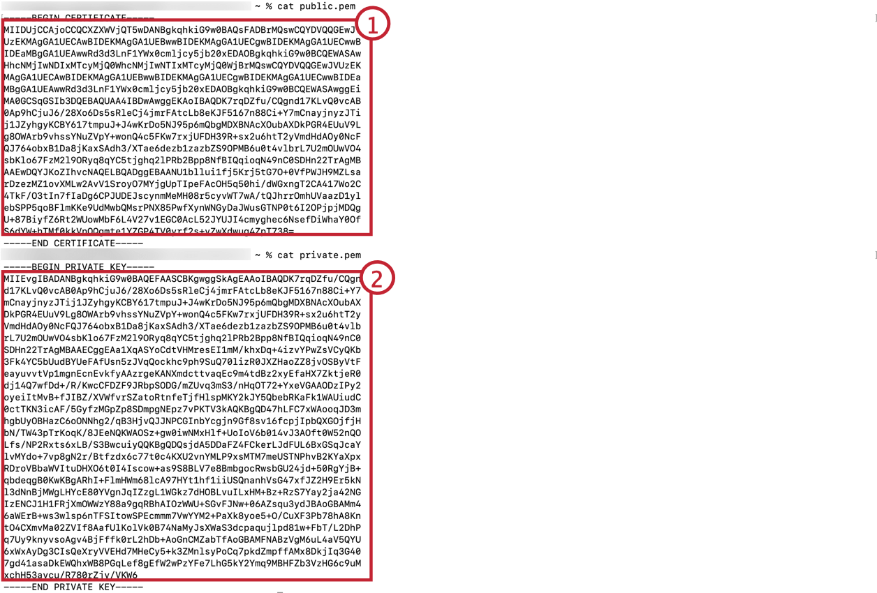 Shows the generated certificate keys to be copied in Step 1.