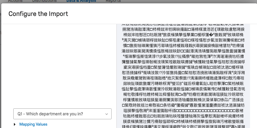 誤って設定されたファイルのインポータープレビューの画像