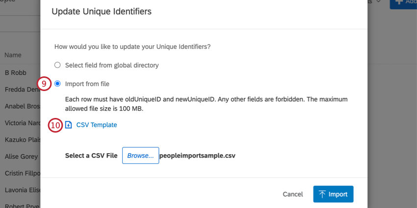 la schermata di aggiornamento degli identificatori univoci. fare clic su importa da file e scaricare il modello CSV