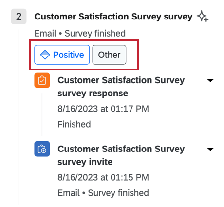Highlights enrichment data from text iQ that can be viewed underneath the touchpoint