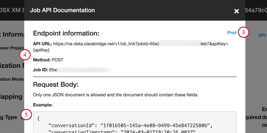 Revisando la información de la api e imprimiendo la página