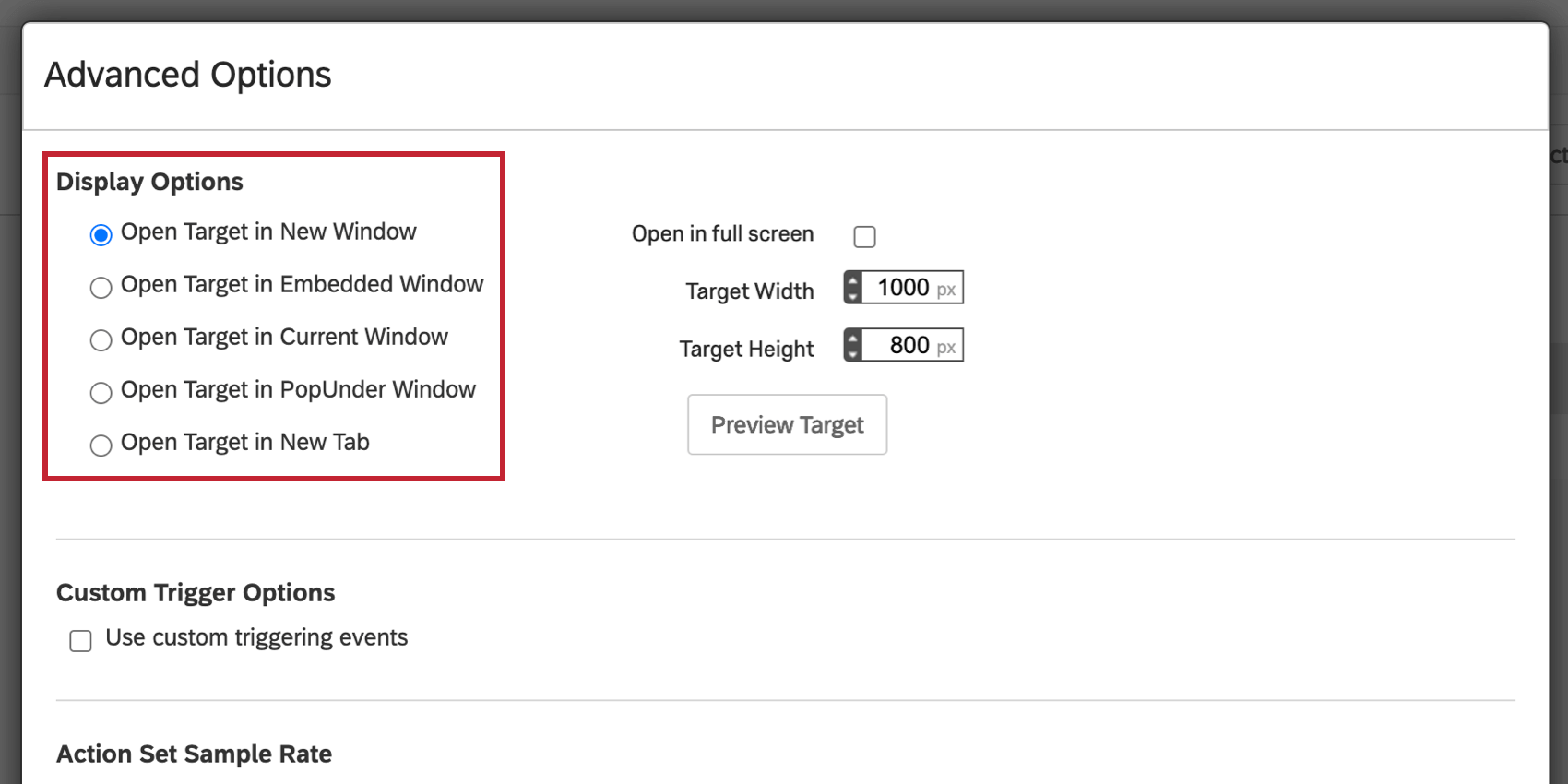 image of the open target in new window selection for display options.
