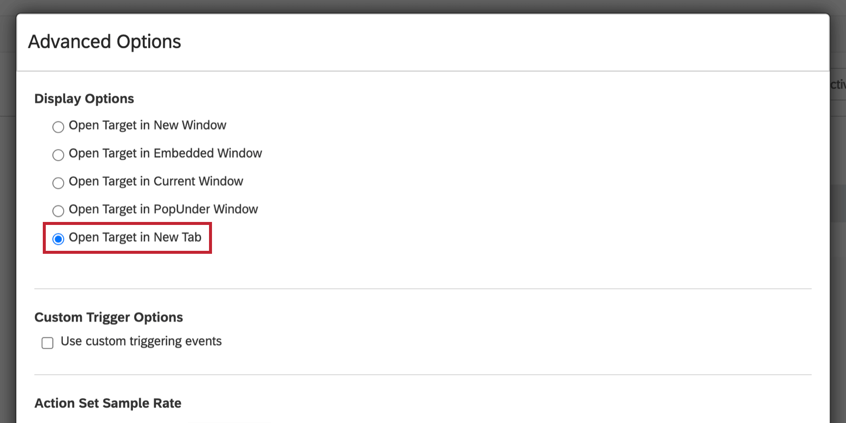 image of the Open Target in New Tab selection for Display Options