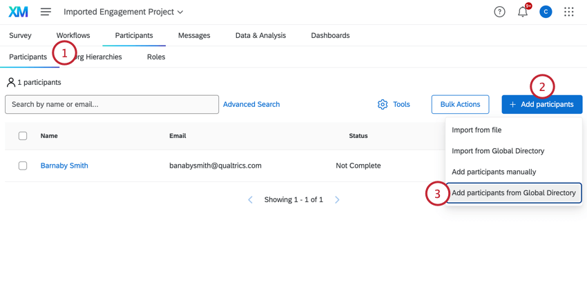 optar por adicionar participantes do diretório global