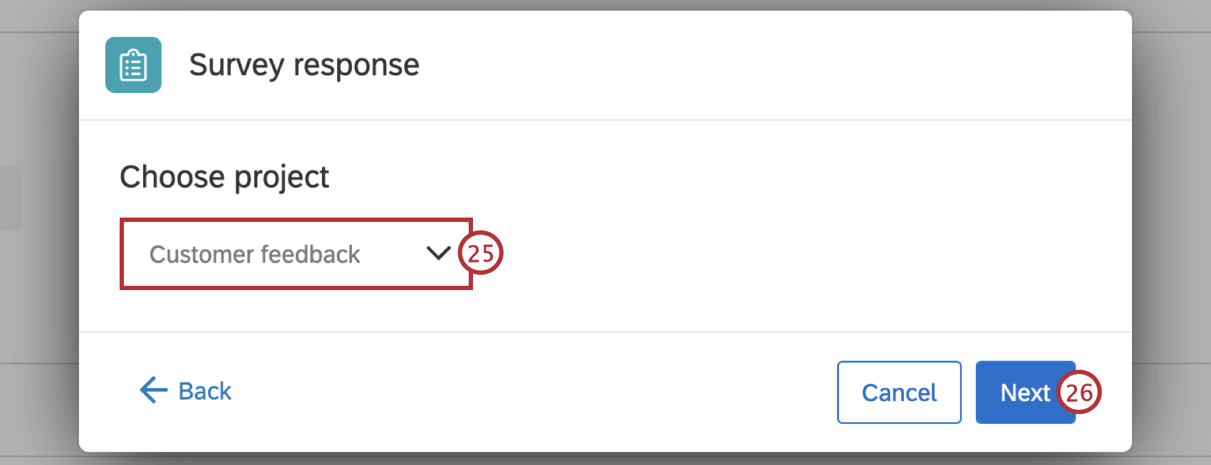 choosing the survey project
