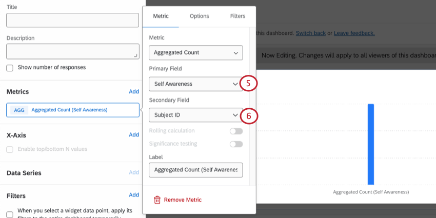 choosing primary and secondary fields for the metric