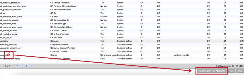 clicking process derived attributes