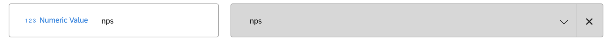 um campo NPS mapeado para o dashboard