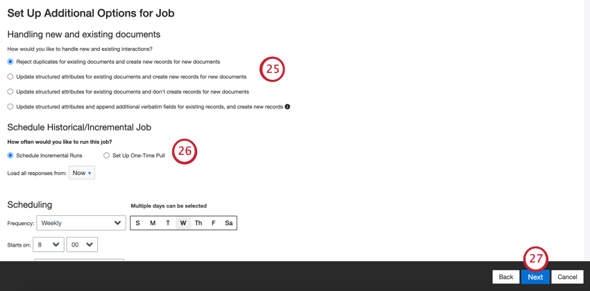 Página que dice configurar opciones adicionales para el trabajo, manejar documentos nuevos y existentes, una serie de configuraciones, luego programar trabajos históricos o incrementales.