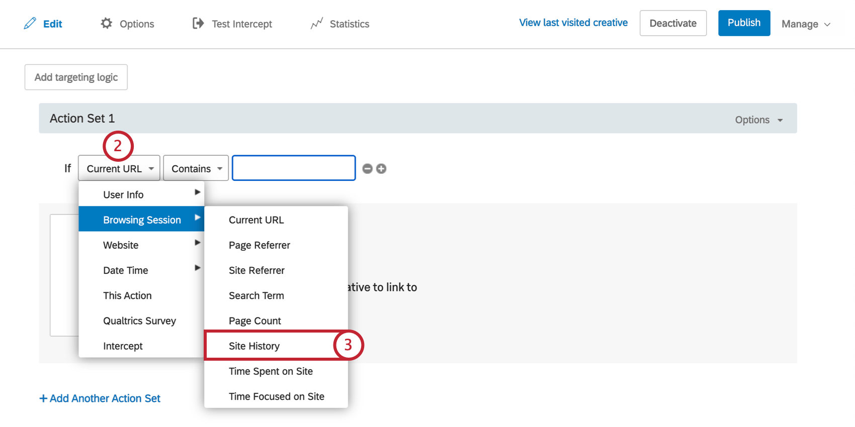 Browsing Session Site History