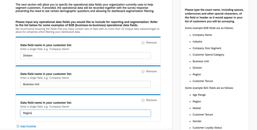 Blue bordered widget for each field name you want to enter. Remove button in upper-right of each widget. Belows widgets, blue text that says Add Another. Sidebar to right of page, lists of examples
