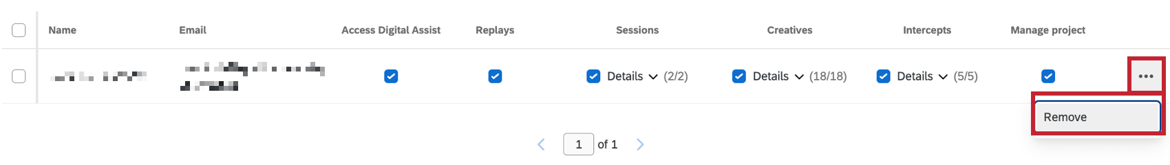 A Project User. On the far-right the 3 dots are selected and "Remove" is highlighted