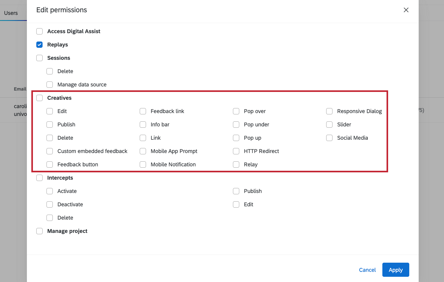 A Project User and their permissions. Under the Creatives column, the Details are expanded to Edit, Publish, Delete, and several Creatives