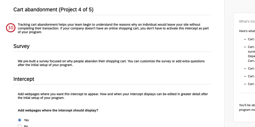 Description of the cart abandonment project