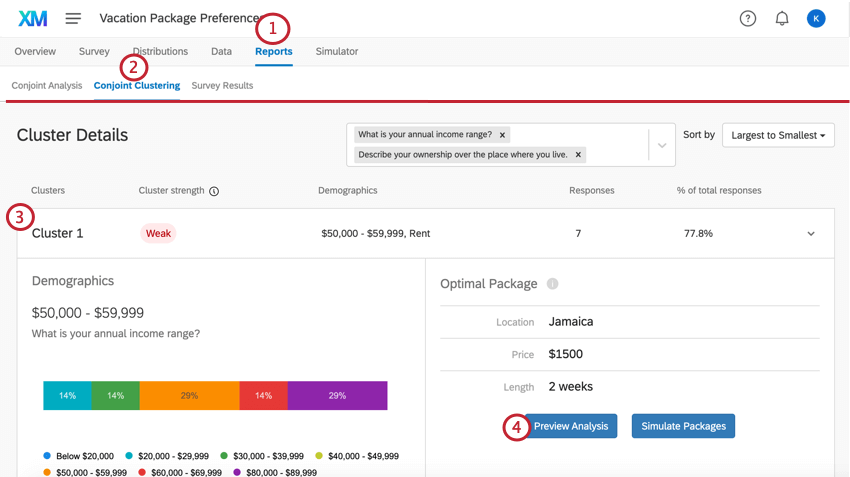 the conjoint clustering tab for previewing an analysis