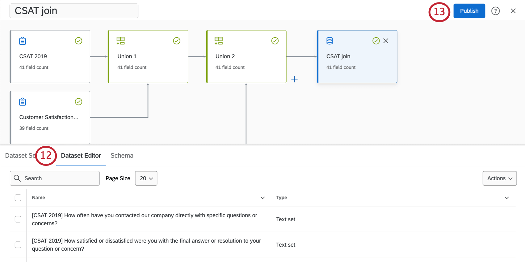 La scheda delleditor del set di dati si apre nel menu in fondo alla pagina; il pulsante Pubblica si trova in alto a destra