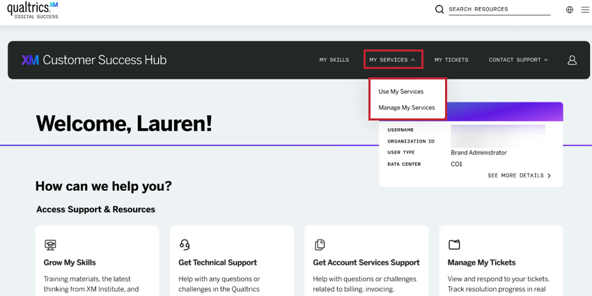 clicar no menu suspenso meus serviços no hub de sucesso do cliente