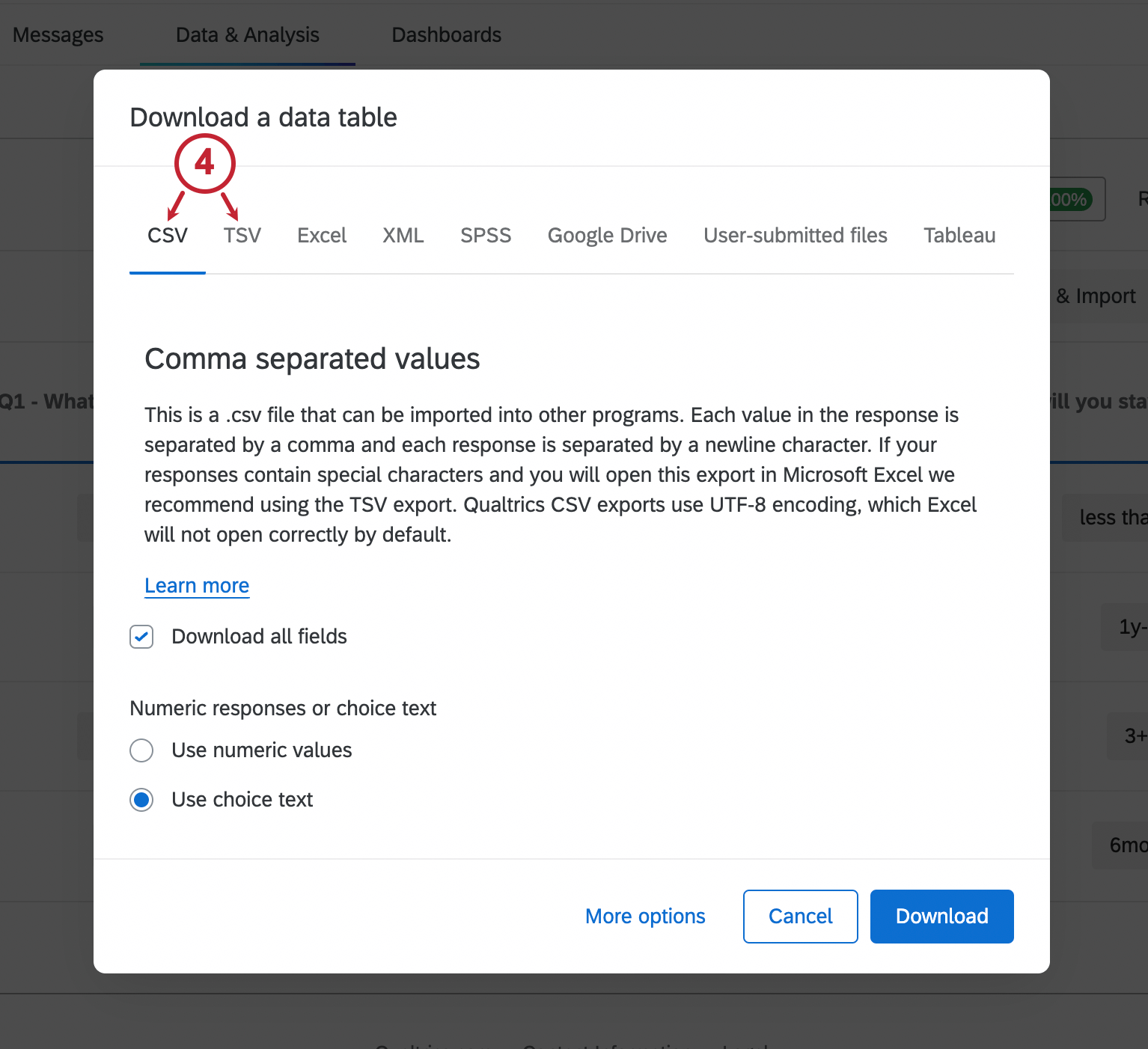 CSV selected from the list of export formats along the top of the exporter. More Options highlighted on bottom-left