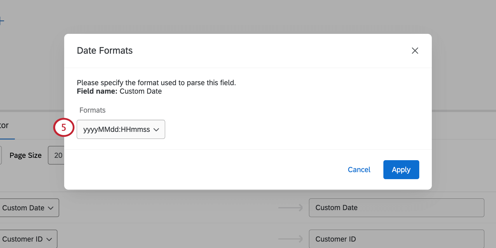 New window where you select a format