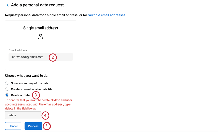 Cuadro grande donde puedes escribir una dirección de correo electrónico. A continuación, opción múltiple, la primera opción es mostrar un resumen. Luego aparece un campo donde se te pide que escribas eliminar. Luego dos botones. El botón de proceso azul es el segundo.