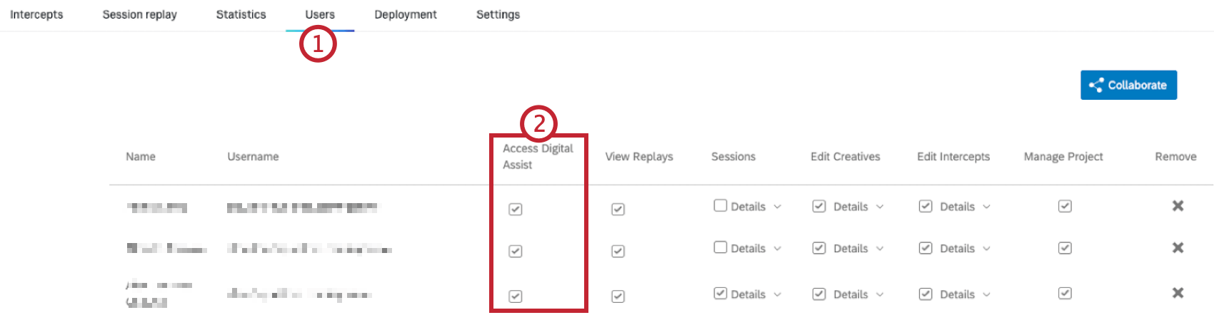 users tab within a digital project
