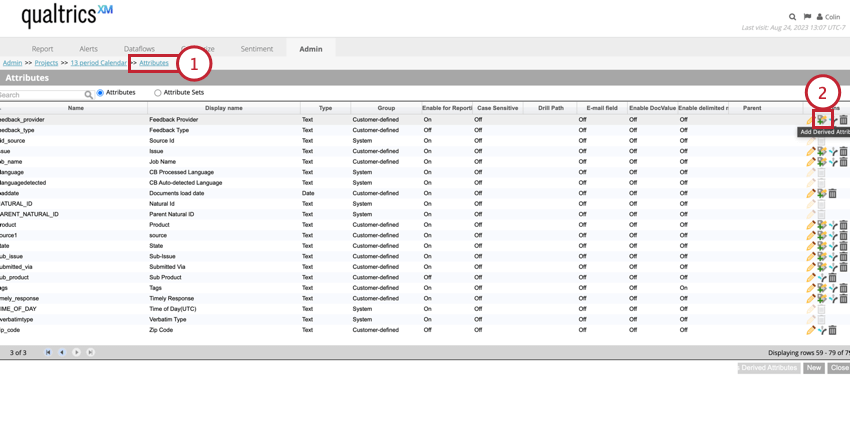 clicking add derived attribute in the attributes tab
