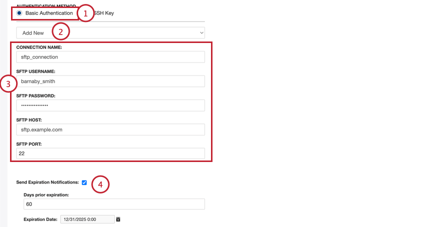 setting up a basic authentication