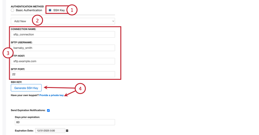 einrichtung eines ssh-schlüssel-authentifizierers